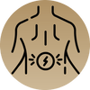 Back, Neck & Shoulder Relief